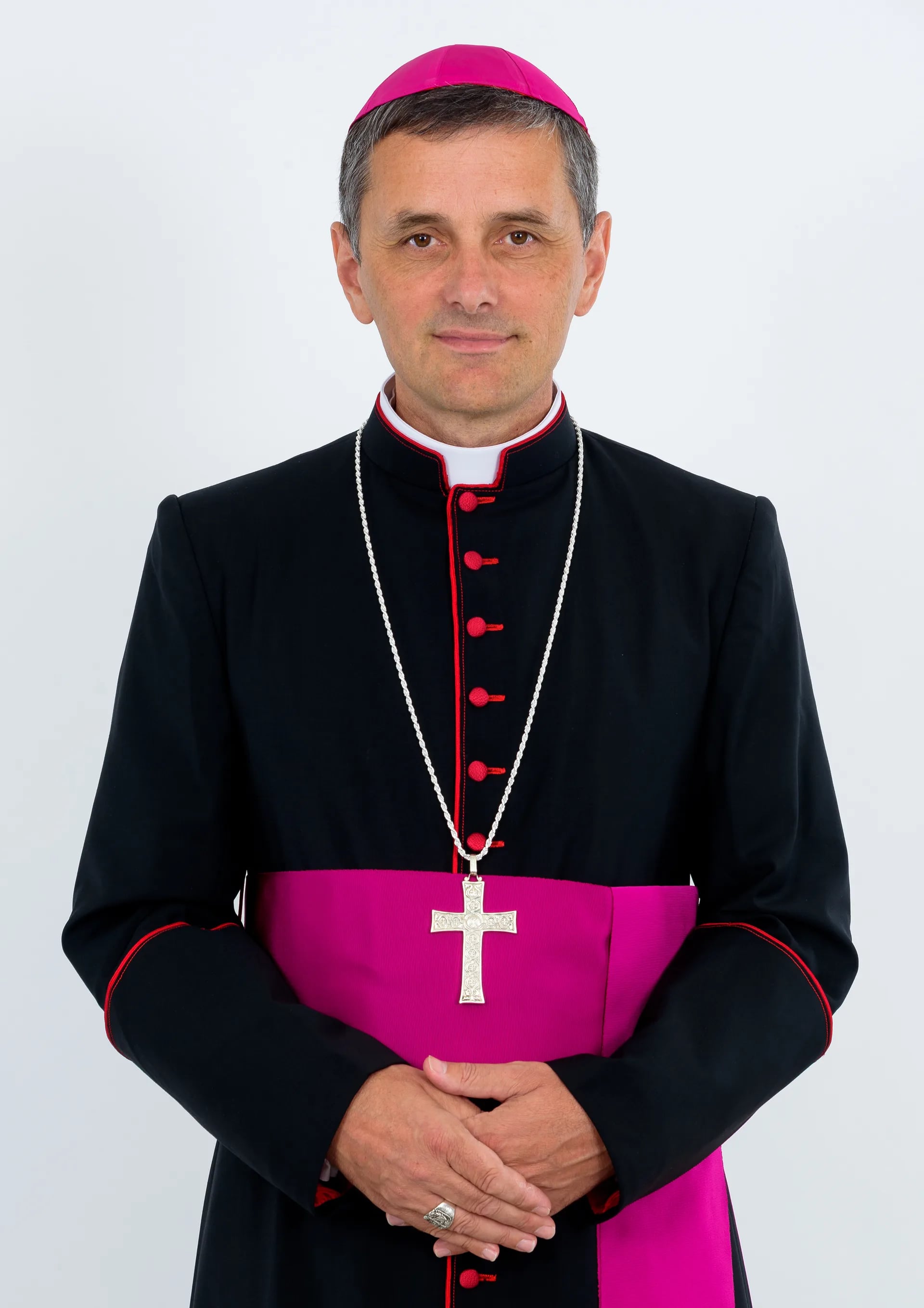 škof Saje