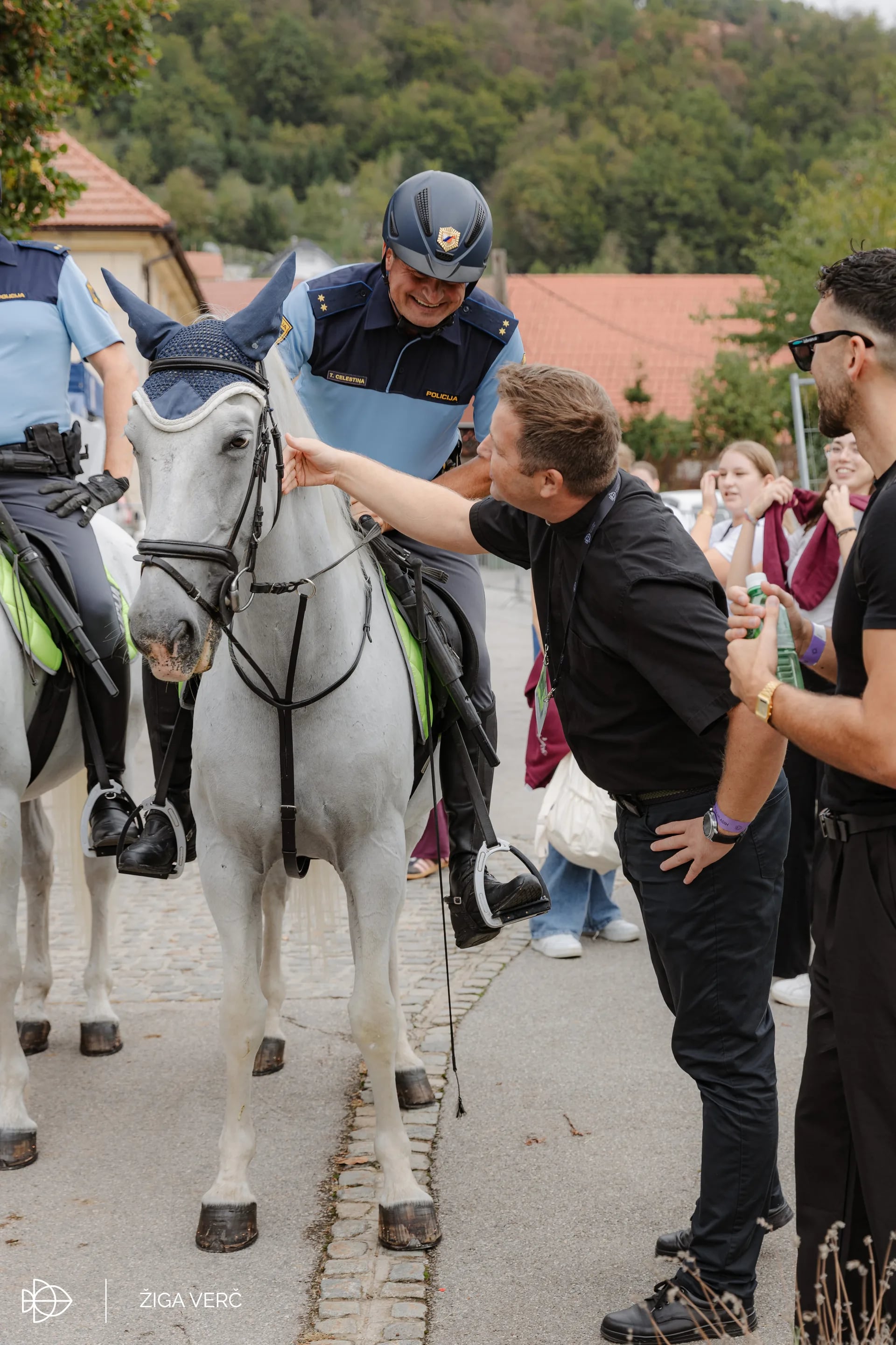 zbiranje